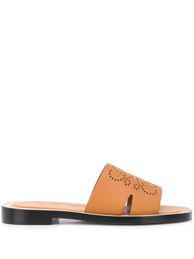 Loewe Logo-perforated Leather Slides In Brown