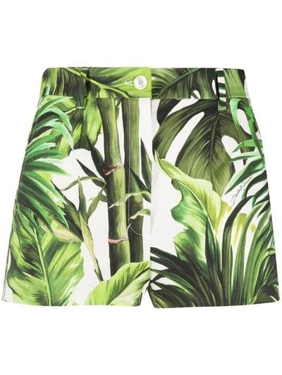 Dolce & Gabbana Jungle Printed Cotton Drill Shorts In Green