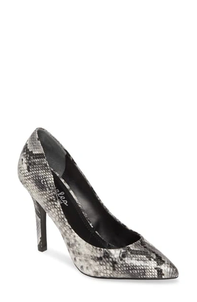 Charles By Charles David Maxx Pointy Toe Pump In Black/ White Faux Snake