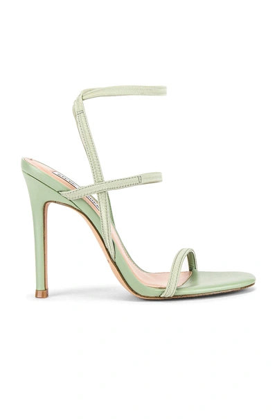 Steve Madden Nectur Stiletto In Mint