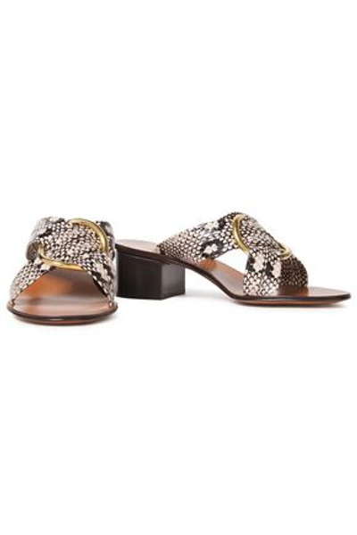 Chloé Rony Ring-embellished Snake-effect Leather Mules In Light Gray
