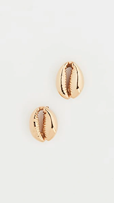 Tohum Large Puka Shell Earrings In Gold