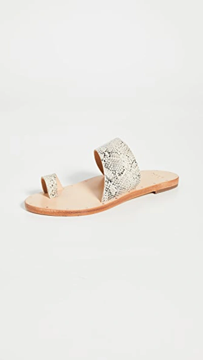 Beek Finch Toe Ring Slides In Blonde Snake/sand