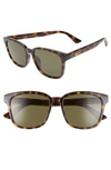 Gucci 56mm Square Sunglasses In Dark Havana/ Green