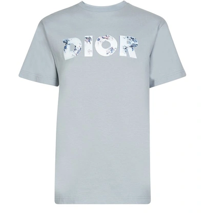 Dior And Daniel Arsham Eroded  Logo Short Sleeve T-shirt In Pale Grey