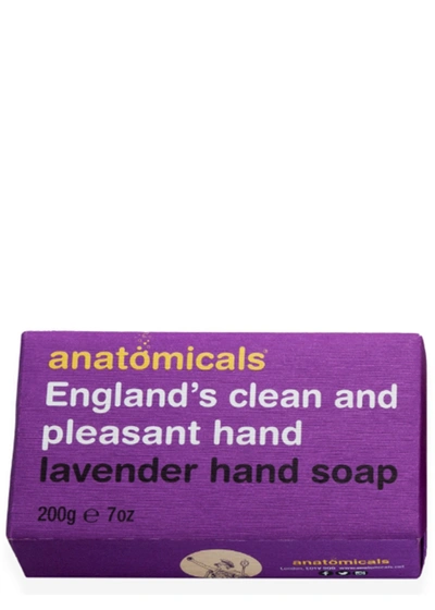 Anatomicals Englands Clean And Pleasant Hand Soap Bar