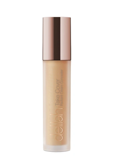 Delilah Take Cover Radiant Cream Concealer (various Shades) - Marble In 1 Marble