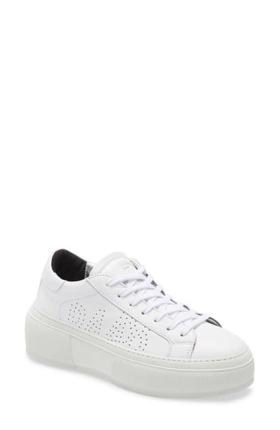P448 Louise Platform Sneaker In White/multi