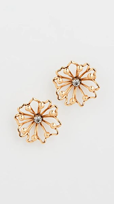 Elizabeth Cole Nickie Earrings In Golden Glow