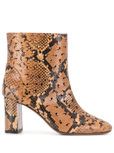 L'autre Chose Snakeskin Print Ankle Boots In Brown