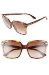 Tom Ford Faye 56mm Gradient Square Sunglasses In Light Havana/ Brown