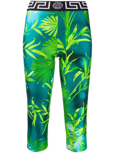 Versace Cropped Jacquard-trimmed Printed Stretch Leggings In Green