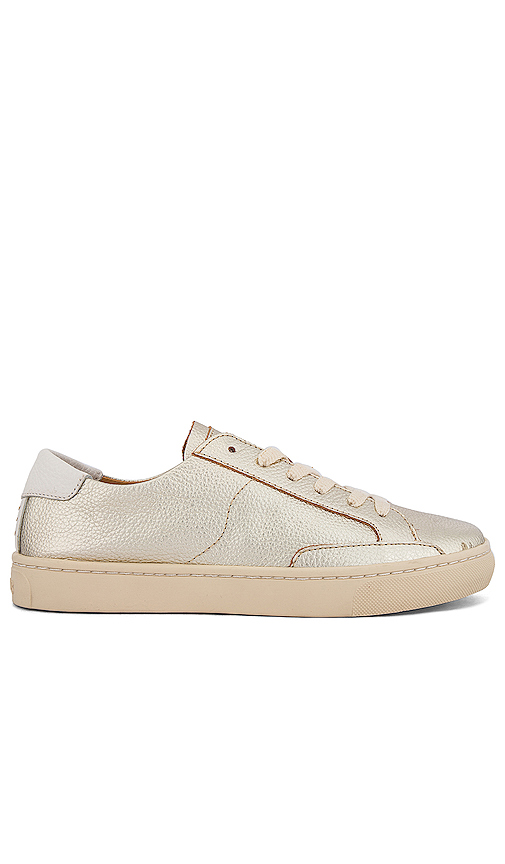 metallic lace up sneakers