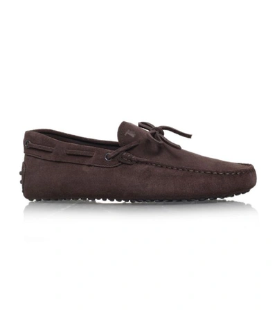 Tod's Gommino Driving Shoes In Brown