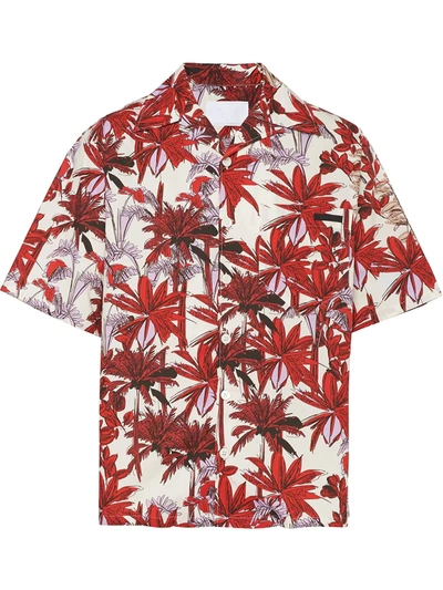 Prada Palm Tree-printed Shirt In Rosso