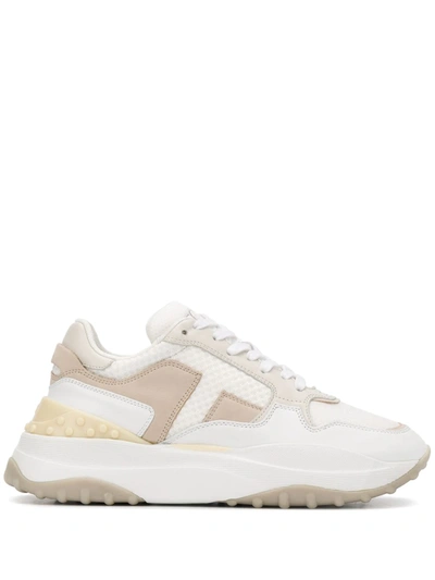 Tod's Low-top Sneakers Fondo Sportivo In White/brown