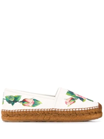 Dolce & Gabbana Leather Tropical Rose Print Espadrilles In White