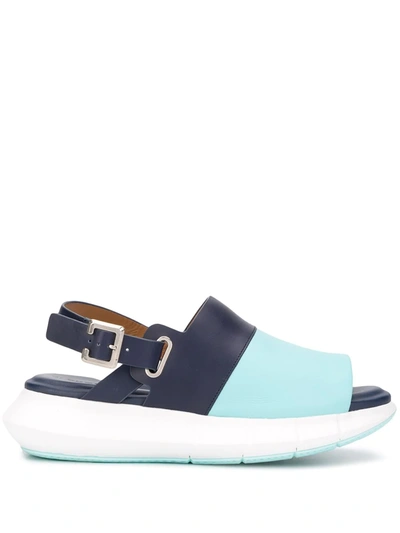 Clergerie Soline Colour Block Slingback Sandals In Blue