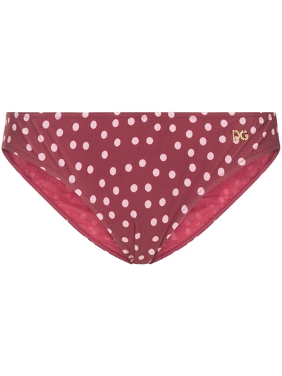 Dolce & Gabbana Polka-dot Print Bikini Bottoms In Pink