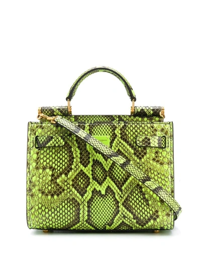 Dolce & Gabbana Snake-print Leather Handbag In Green