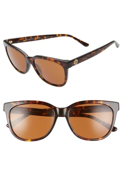 Tory Burch 55mm Cat Eye Sunglasses In Dark Tortoise/ Brown Solid