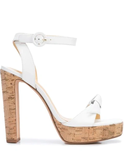 Alexandre Birman Block Heel Ankle Strap Sandals In White