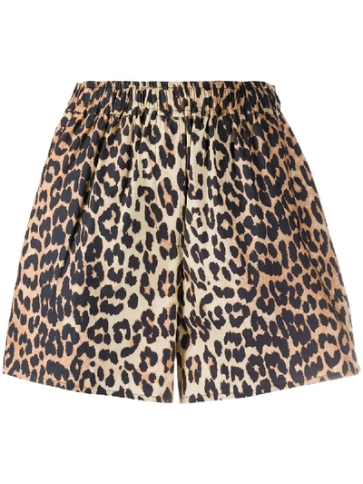 Ganni Leopard Print Cotton Poplin Shorts In Brown