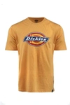 Dickies Horseshoe T-shirt - Amber In Apricot