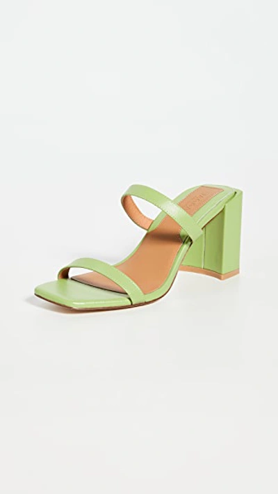 Jaggar Square Heel Sandals In Lime Green