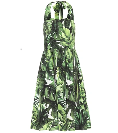 Dolce & Gabbana Palms Printed Cotton Poplin Midi Dress In Green