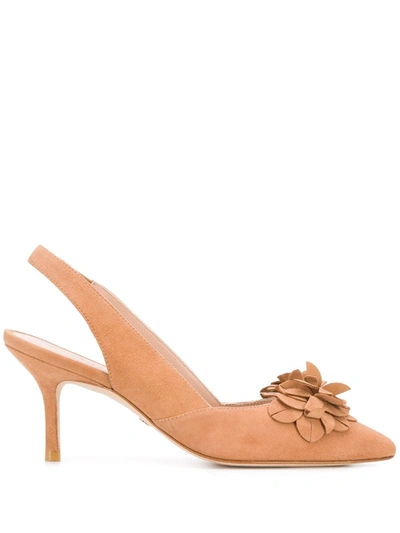 Stuart Weitzman Rossella 75mm Pumps In Marrone