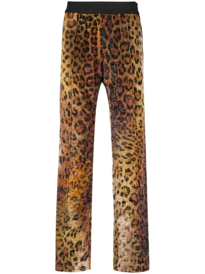 Versace Pop Animalier Print Track Trousers In Brown