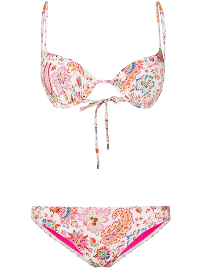 Etro Floral-print Triangle Top Bikini In Neutrals