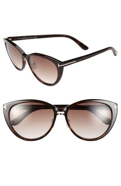 Tom Ford 'gina' 57mm Cat Eye Sunglasses In Shiny Black/ Gradient Brown