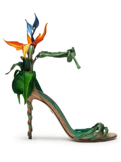 Dolce & Gabbana Satin Sandals With Bird Of Paradise Embroidery In Green ,orange