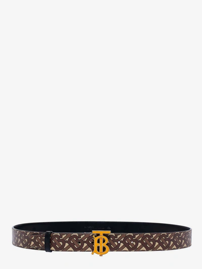 Burberry Tb Monogram E-canvas Belt In Brown