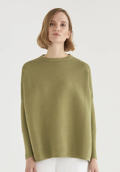 Paisie Ribbed Jumper In Olive