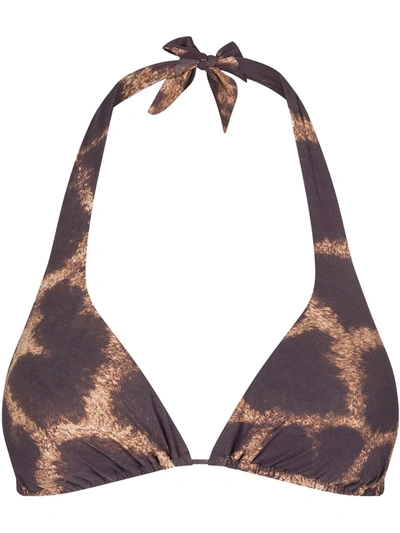 Dolce & Gabbana Padded Triangle Bikini Top With Giraffe Print In Brown