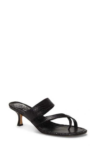 Vince Camuto Women's Moentha Kitten-heel Dress Sandals Women's Shoes In Black Leather