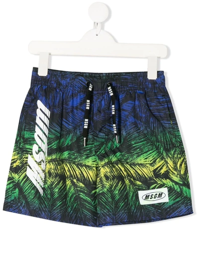 Msgm Teen Foliage-print Swimming Shorts In Blue