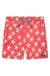 Tom & Teddy Kids' Boy's Starfish Print Classic Fit Swim Trunks In Rose & Blue