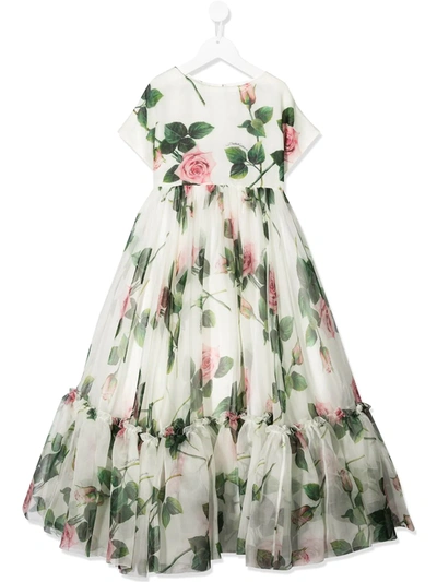 Dolce & Gabbana Kids' Tropical Rose Print Flared Dress In White