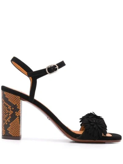 Chie Mihara Open Toe Snakeskin-effect Sandals In Black