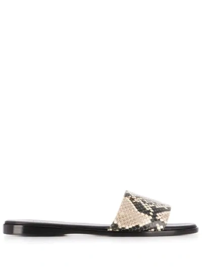 Jimmy Choo Minea Flat Sandals In Brown