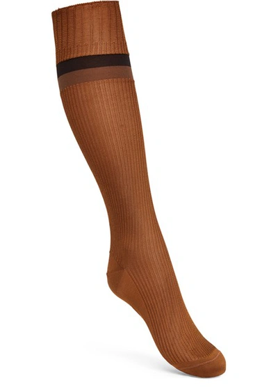 Fendi Striped Socks In Brown