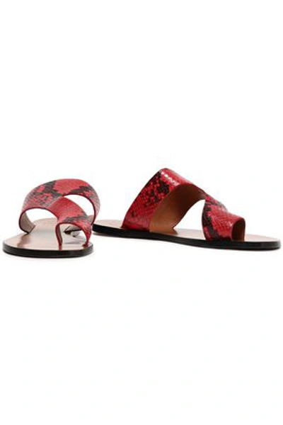 Atp Atelier Roma Snake-effect Leather Slides In Red