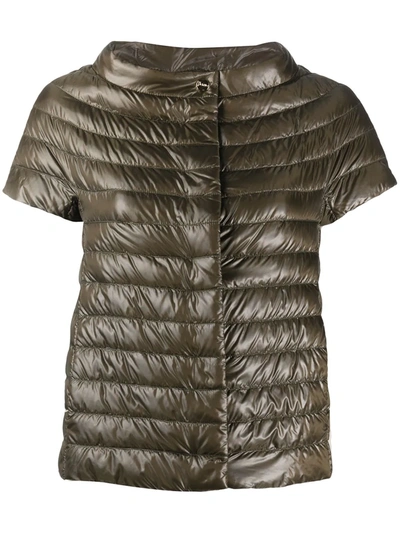 Herno Margherita Short-sleeved Puffer Jacket In Green