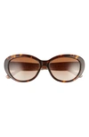 Tory Burch 56mm Gradient Cat Eye Sunglasses In Tortoise/ Brown Gradient
