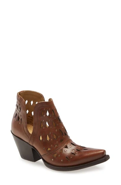 Ariat Dixon Perforated Studded Bootie In Amber