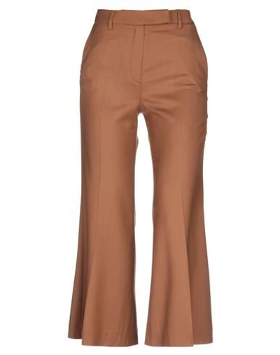 True Royal Pants In Beige